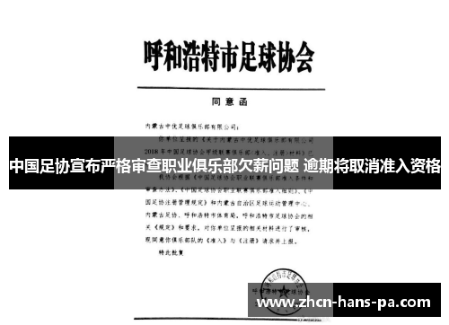 中国足协宣布严格审查职业俱乐部欠薪问题 逾期将取消准入资格